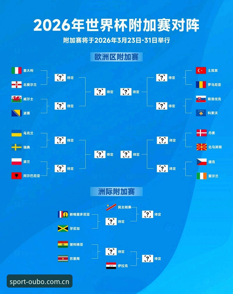 世界杯观赛签证问题实战操作教程——如何在欧宝体育官网从容应对赛事变故